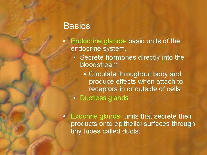 Basics • Endocrine glands- basic units of the endocrine system. • Secrete hormones directly