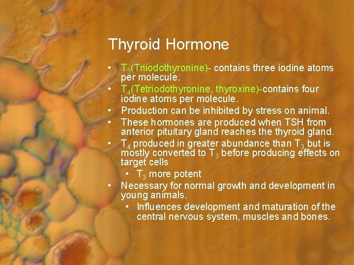 Thyroid Hormone • T 3(Triiodothyronine)- contains three iodine atoms per molecule. • T 4(Tetriodothyronine,