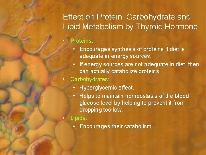 Effect on Protein, Carbohydrate and Lipid Metabolism by Thyroid Hormone • Proteins: • Encourages