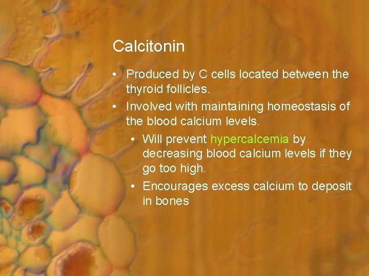 Calcitonin • Produced by C cells located between the thyroid follicles. • Involved with