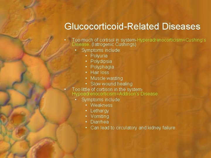 Glucocorticoid-Related Diseases • • Too much of cortisol in system-Hyperadrenocorticism=Cushing’s Disease. (Iatrogenic Cushings) •