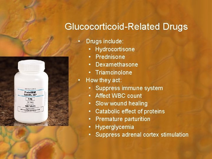 Glucocorticoid-Related Drugs • Drugs include: • Hydrocortisone • Prednisone • Dexamethasone • Triamcinolone •