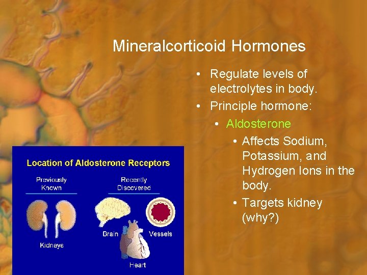 Mineralcorticoid Hormones • Regulate levels of electrolytes in body. • Principle hormone: • Aldosterone