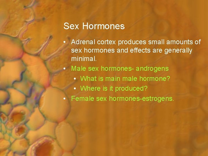 Sex Hormones • Adrenal cortex produces small amounts of sex hormones and effects are