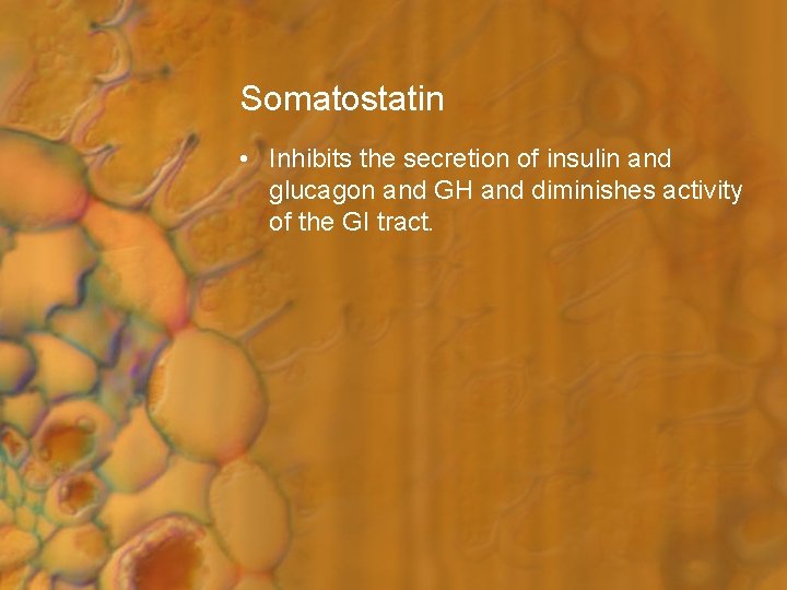 Somatostatin • Inhibits the secretion of insulin and glucagon and GH and diminishes activity