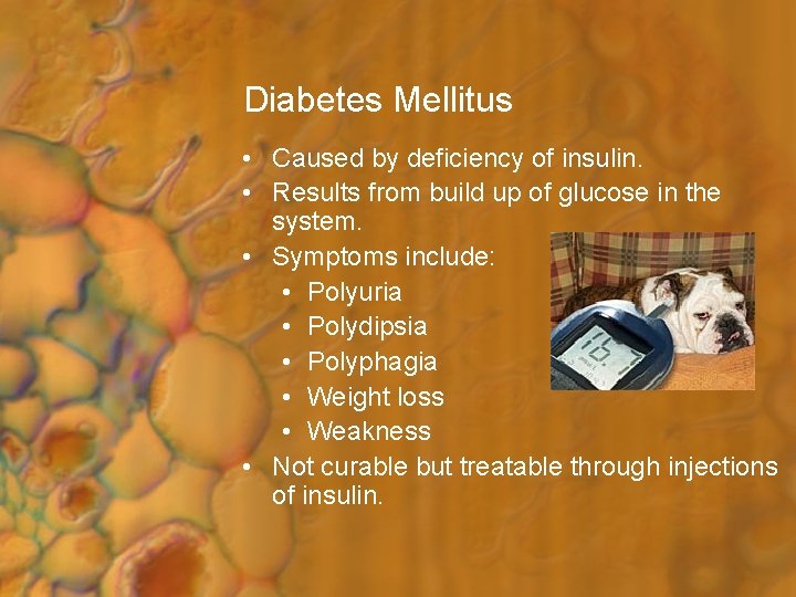 Diabetes Mellitus • Caused by deficiency of insulin. • Results from build up of