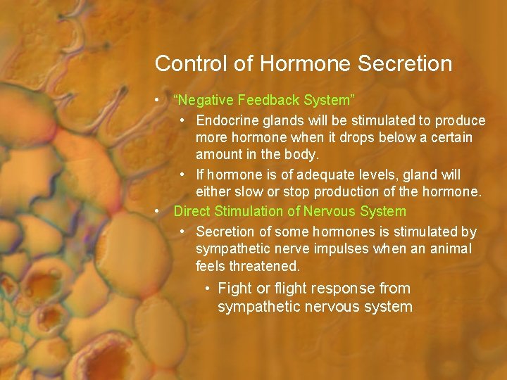 Control of Hormone Secretion • “Negative Feedback System” • Endocrine glands will be stimulated