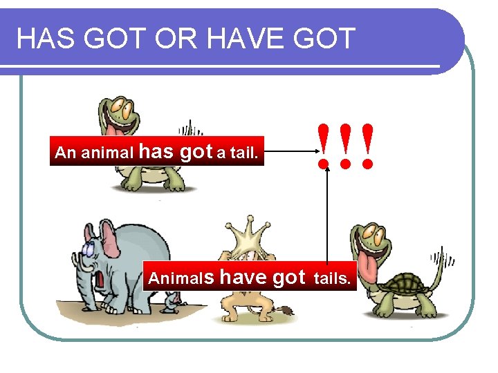 HAS GOT OR HAVE GOT An animal has !!! got a tail. Animals have HAS GOT OR HAVE GOT An animal has !!! got a tail. Animals have