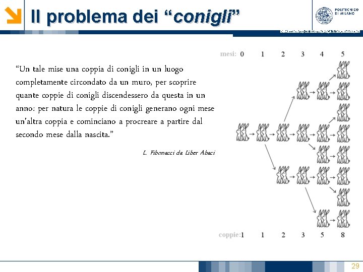 Il problema dei “conigli” DIPARTIMENTO DI ELETTRONICA E INFORMAZIONE “Un tale mise una coppia Il problema dei “conigli” DIPARTIMENTO DI ELETTRONICA E INFORMAZIONE “Un tale mise una coppia