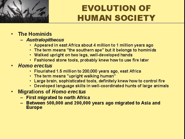 EVOLUTION OF HUMAN SOCIETY • The Hominids – Australopithecus • • Appeared in east