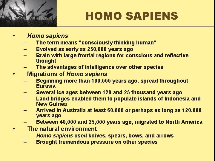 HOMO SAPIENS • Homo sapiens – – • The term means "consciously thinking human"