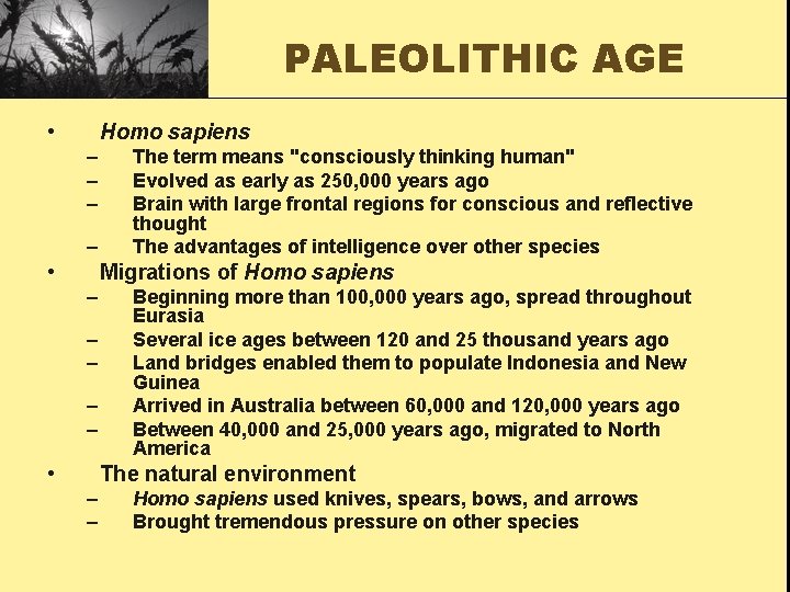 PALEOLITHIC AGE • Homo sapiens – – • The term means "consciously thinking human"