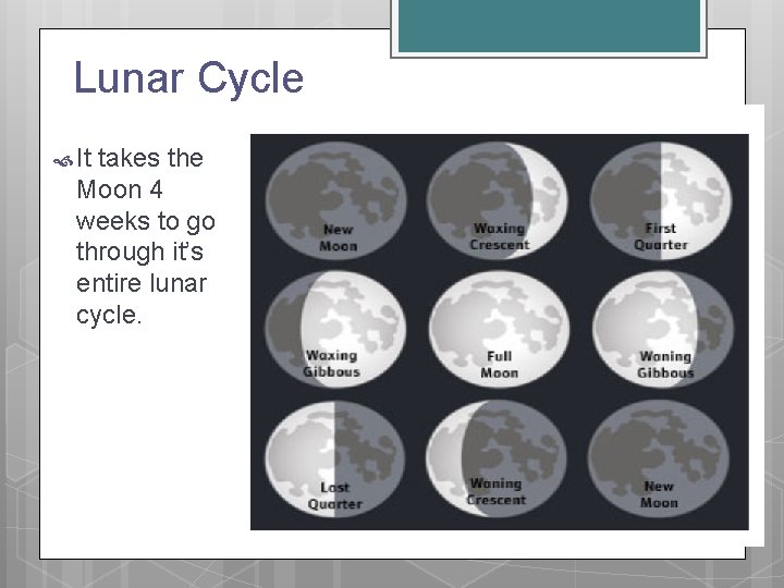 Lunar Cycle It takes the Moon 4 weeks to go through it’s entire lunar
