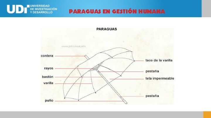 PARAGUAS EN GESTIÓN HUMANA 