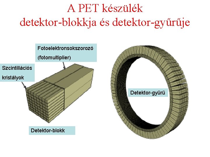 A PET készülék detektor-blokkja és detektor-gyűrűje Fotoelektronsokszorozó (fotomultiplier) Szcintillációs kristályok Detektor-gyűrű Detektor-blokk 