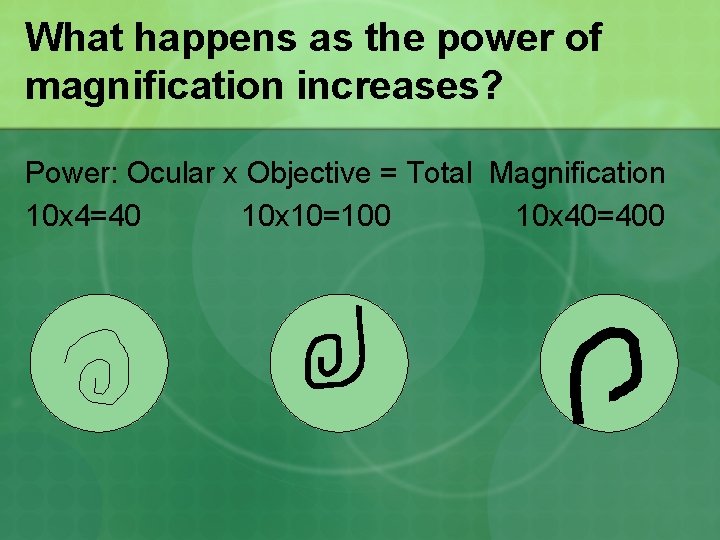 What happens as the power of magnification increases? Power: Ocular x Objective = Total