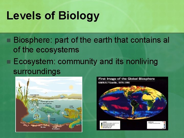 Levels of Biology Biosphere: part of the earth that contains al of the ecosystems
