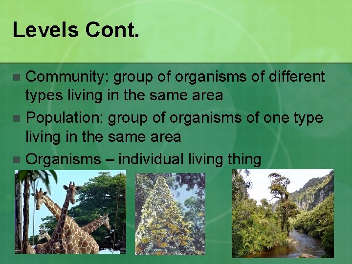 Levels Cont. Community: group of organisms of different types living in the same area