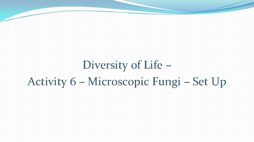Diversity of Life – Activity 6 – Microscopic Fungi – Set Up Diversity of Life – Activity 6 – Microscopic Fungi – Set Up