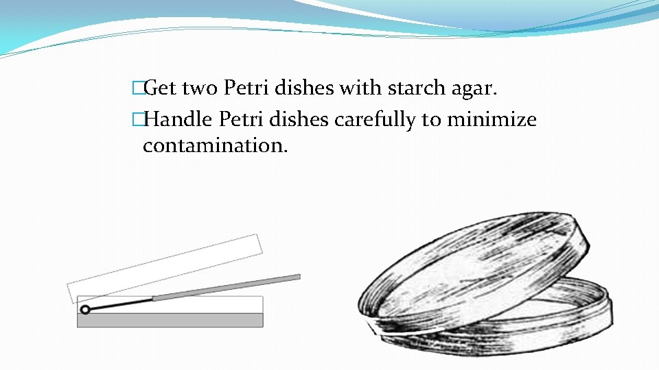 �Get two Petri dishes with starch agar. �Handle Petri dishes carefully to minimize contamination. �Get two Petri dishes with starch agar. �Handle Petri dishes carefully to minimize contamination.
