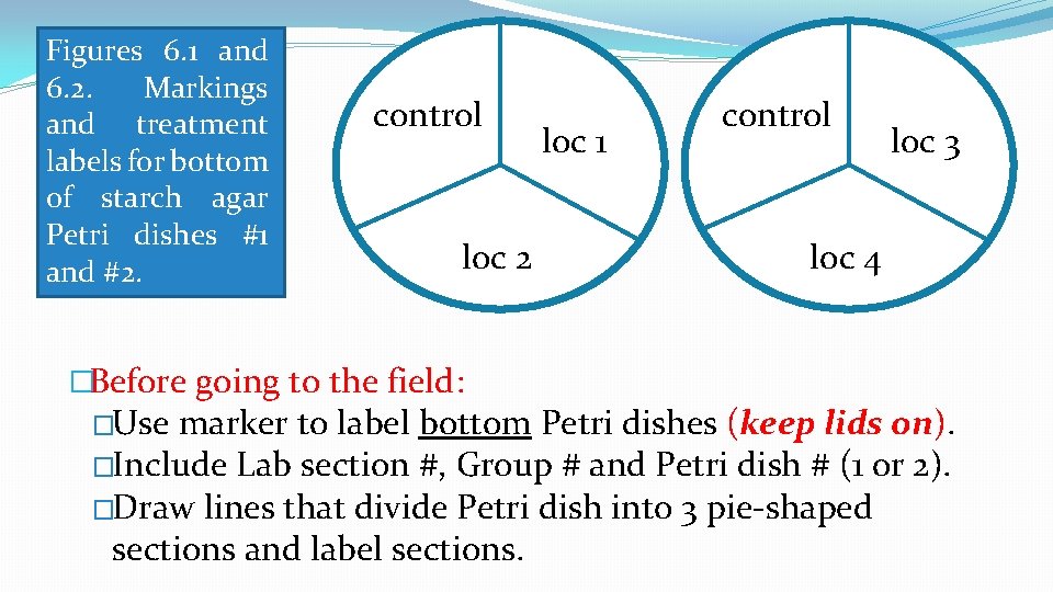 Figures 6. 1 and 6. 2. Markings and treatment labels for bottom of starch Figures 6. 1 and 6. 2. Markings and treatment labels for bottom of starch
