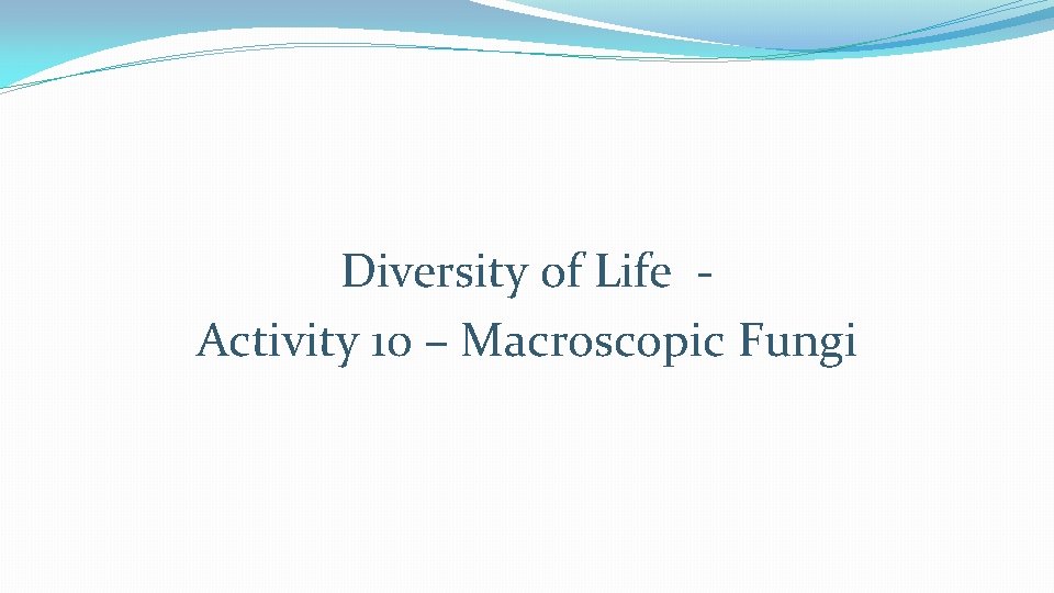 Diversity of Life Activity 10 – Macroscopic Fungi Diversity of Life Activity 10 – Macroscopic Fungi