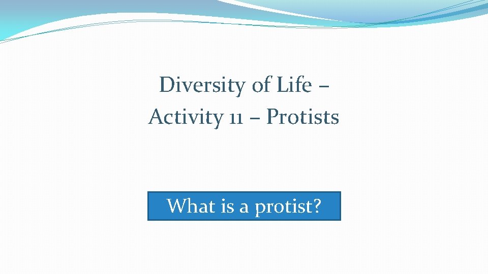 Diversity of Life – Activity 11 – Protists What is a protist? Diversity of Life – Activity 11 – Protists What is a protist?