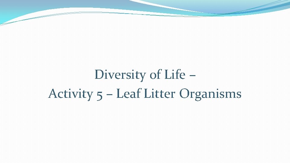 Diversity of Life – Activity 5 – Leaf Litter Organisms Diversity of Life – Activity 5 – Leaf Litter Organisms