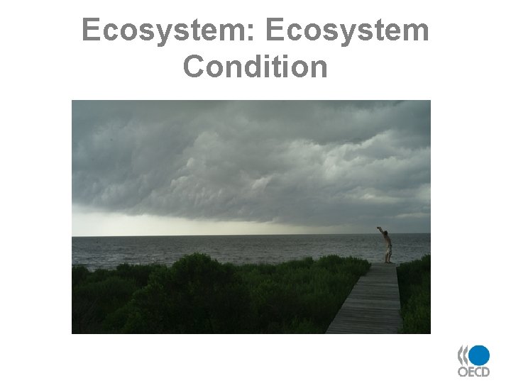 Ecosystem: Ecosystem Condition 