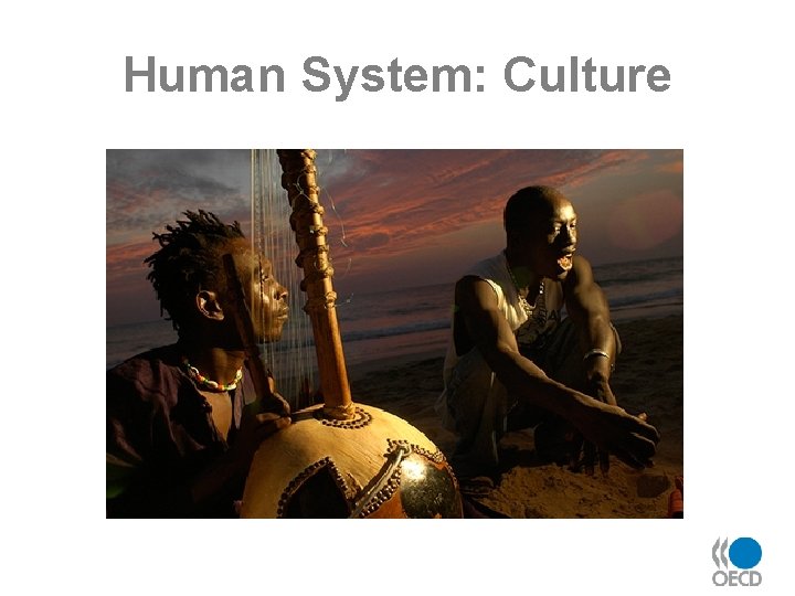 Human System: Culture 