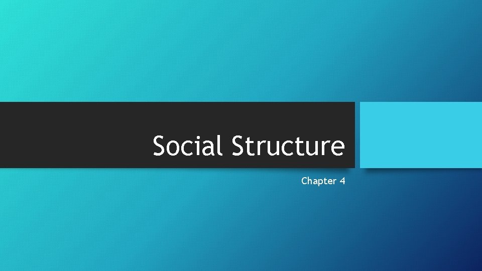 Social Structure Chapter 4 