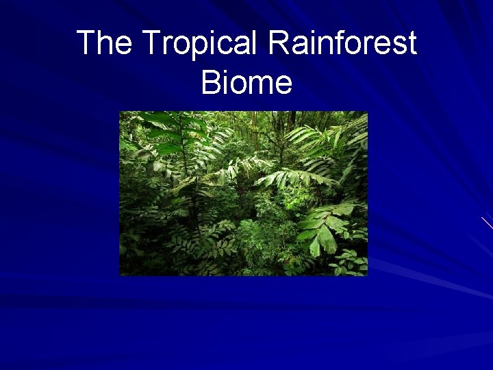 The Tropical Rainforest Biome 