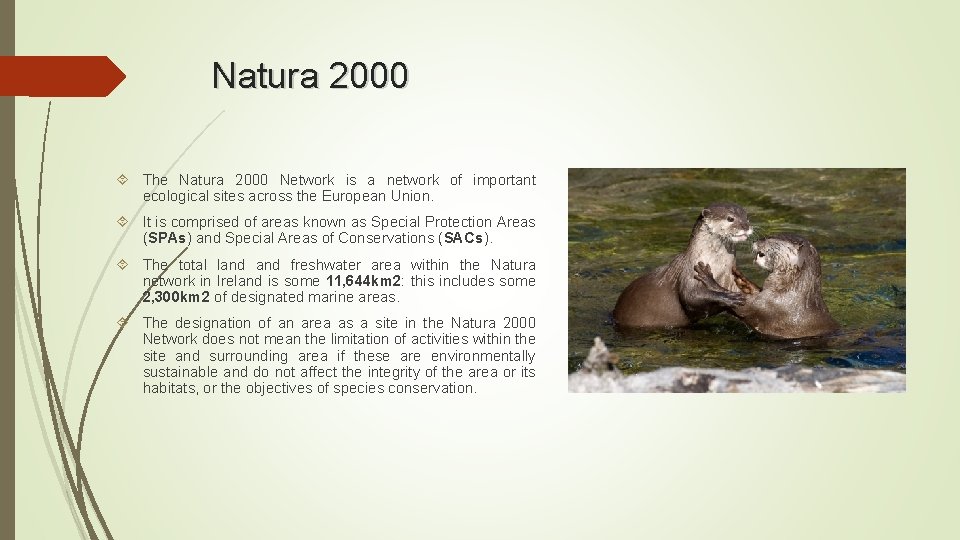 Natura 2000 The Natura 2000 Network is a network of important ecological sites across Natura 2000 The Natura 2000 Network is a network of important ecological sites across