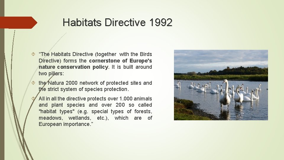 Habitats Directive 1992 “The Habitats Directive (together with the Birds Directive) forms the cornerstone Habitats Directive 1992 “The Habitats Directive (together with the Birds Directive) forms the cornerstone