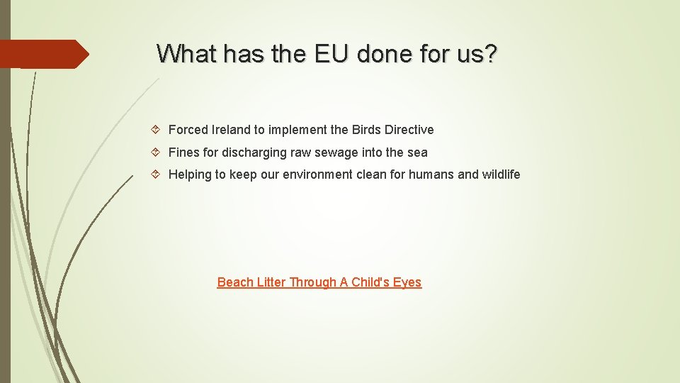 What has the EU done for us? Forced Ireland to implement the Birds Directive What has the EU done for us? Forced Ireland to implement the Birds Directive