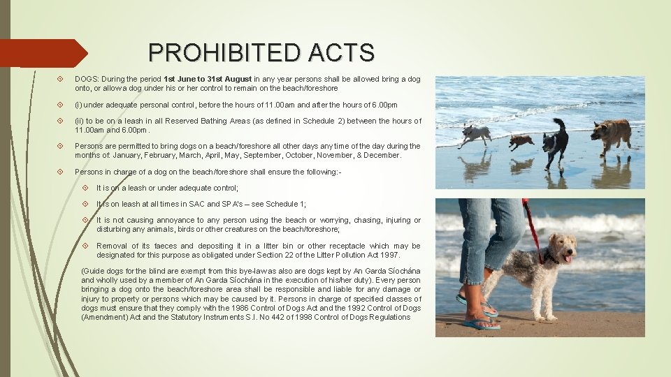 PROHIBITED ACTS DOGS: During the period 1 st June to 31 st August in PROHIBITED ACTS DOGS: During the period 1 st June to 31 st August in