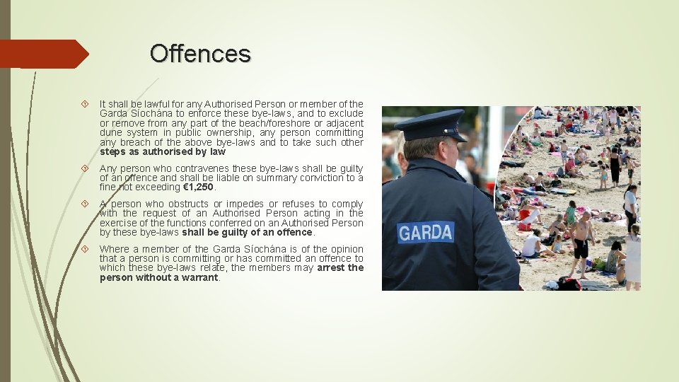 Offences It shall be lawful for any Authorised Person or member of the Garda Offences It shall be lawful for any Authorised Person or member of the Garda