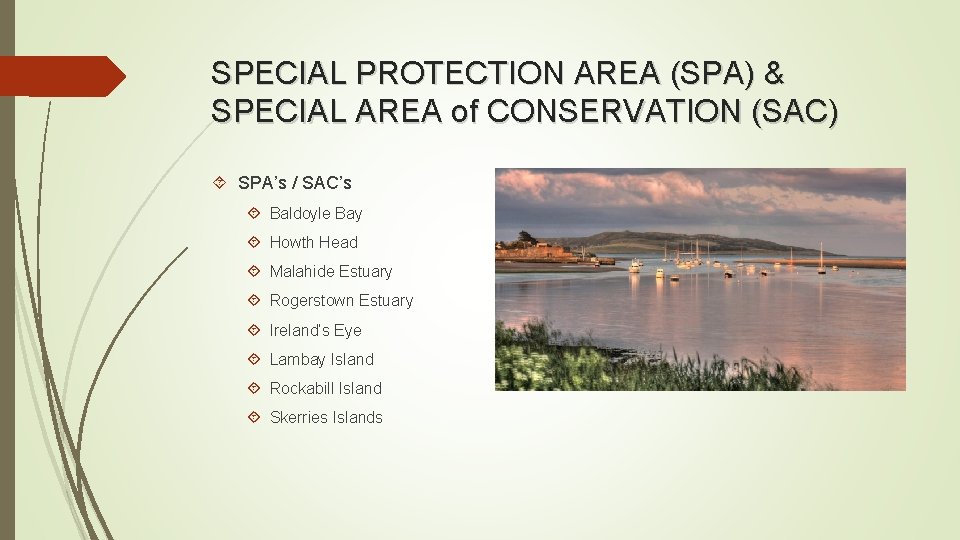 SPECIAL PROTECTION AREA (SPA) & SPECIAL AREA of CONSERVATION (SAC) SPA’s / SAC’s Baldoyle SPECIAL PROTECTION AREA (SPA) & SPECIAL AREA of CONSERVATION (SAC) SPA’s / SAC’s Baldoyle