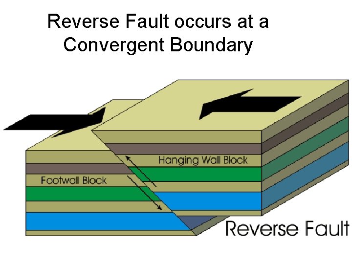 Reverse Fault occurs at a Convergent Boundary 