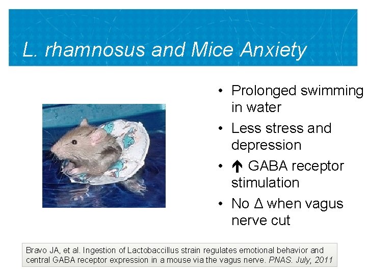 L. rhamnosus and Mice Anxiety • Prolonged swimming in water • Less stress and