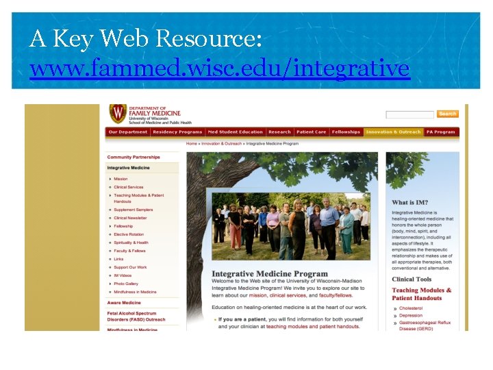 A Key Web Resource: www. fammed. wisc. edu/integrative 