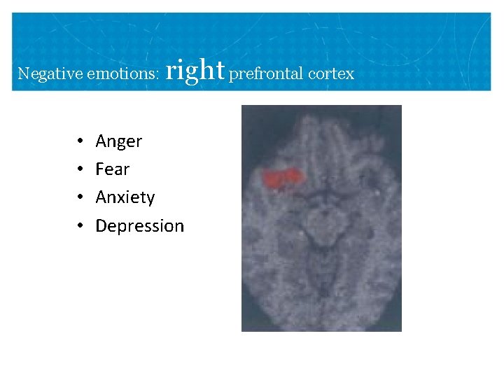 Negative emotions: • • right prefrontal cortex Anger Fear Anxiety Depression 