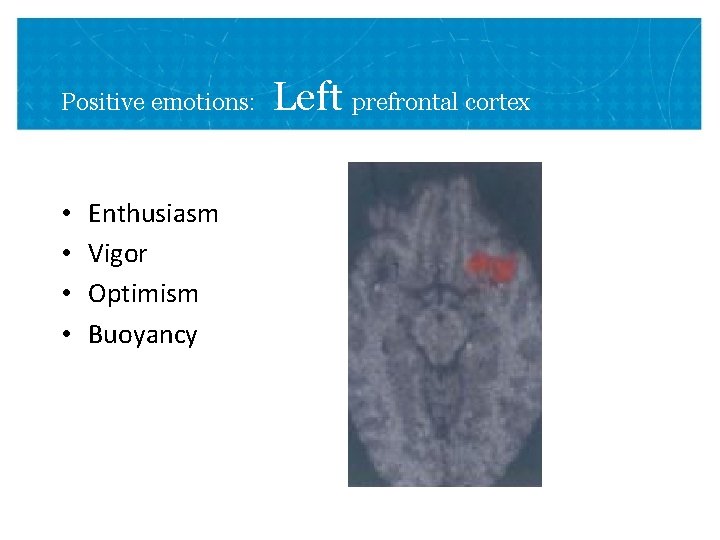Positive emotions: • • Enthusiasm Vigor Optimism Buoyancy Left prefrontal cortex 