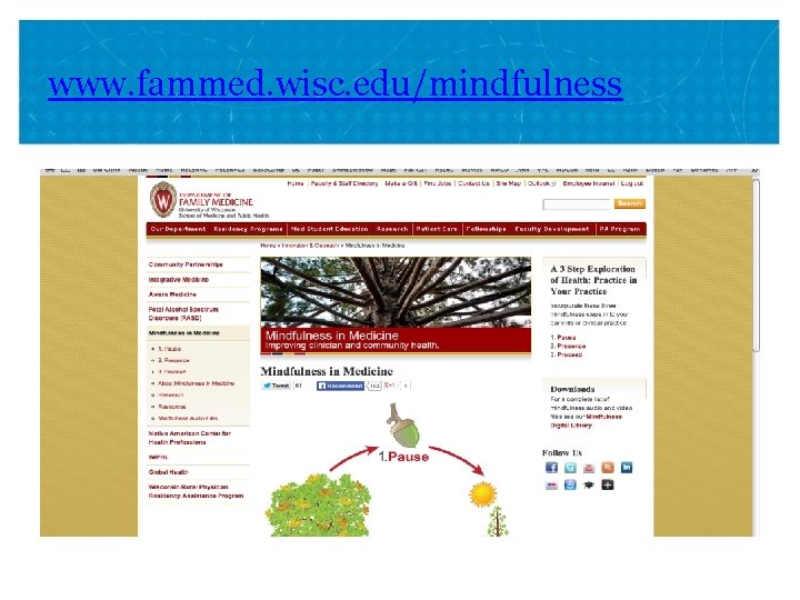 www. fammed. wisc. edu/mindfulness 