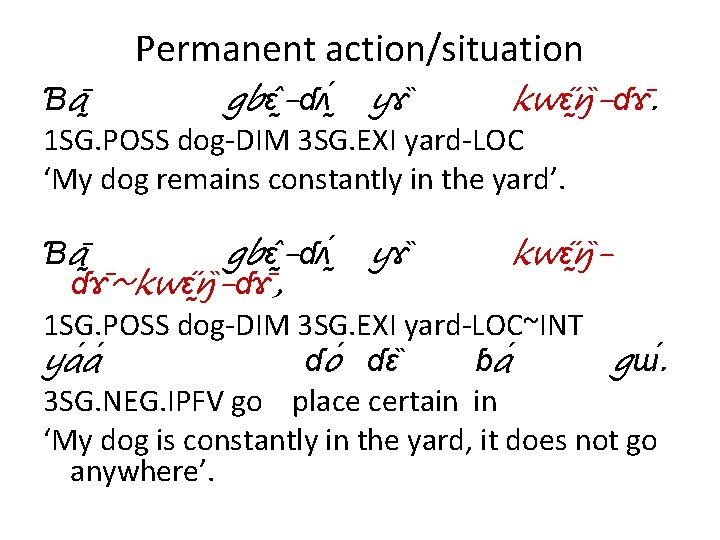 Permanent action/situation Ɓa gbɛ -ɗʌ yɤ kwɛ ŋ -ɗɤ. 1 SG. POSS dog-DIM 3