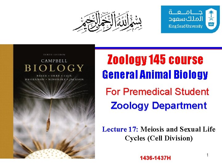Zoology 145 course General Animal Biology For Premedical Student Zoology Department Lecture 17: Meiosis