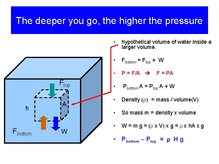 The deeper you go, the higher the pressure Ftop h Fbottom A W •