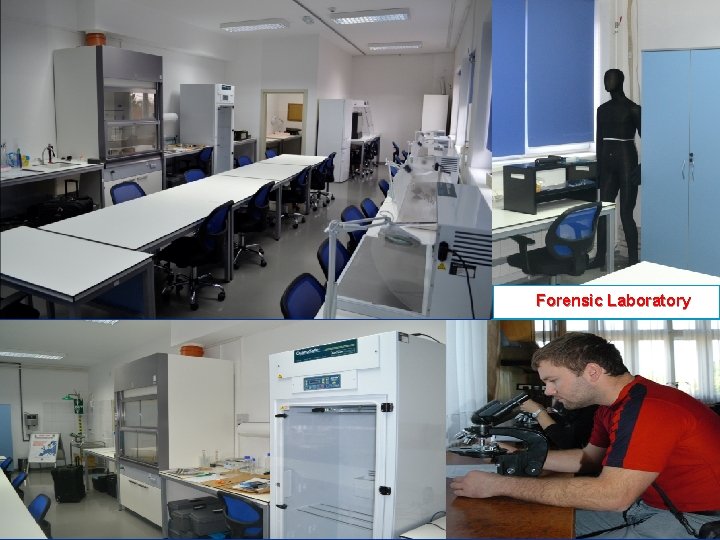 Forensic Laboratory 