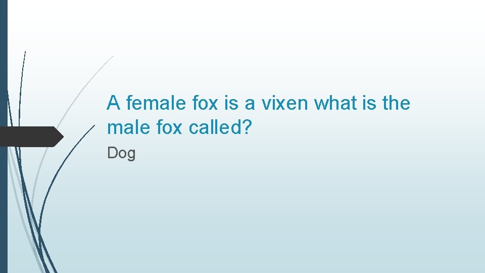 A female fox is a vixen what is the male fox called? Dog 