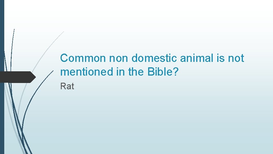 Common non domestic animal is not mentioned in the Bible? Rat 